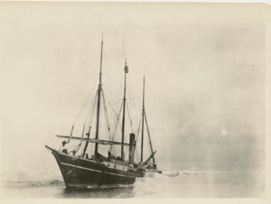 Image: S.S. Roosevelt in the pack